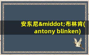 安东尼·布林肯(antony blinken)